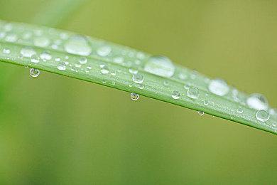 恐怖游戏《小镇惊魂2》7月先后登陆Xbox和PS