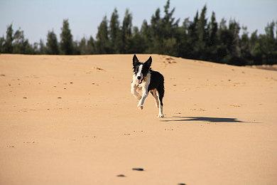 新《战地》正进行史上最大规模测试 不想连续第三次灾难首发